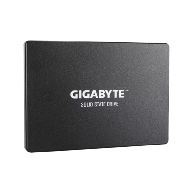 GP-GSTFS31256GTND-1